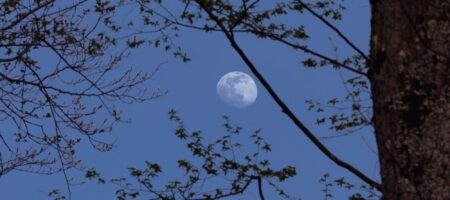 Lunarna eklipsa